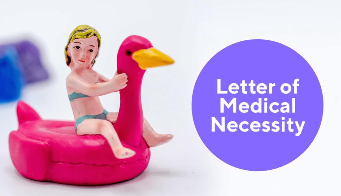 Watch What S An Hsa Letter Of Medical Necessity Watch What S An Hsa Letter Of Medical Necessity