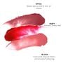 MDSolarSciences Lip Balm Bundle, , large image number 2