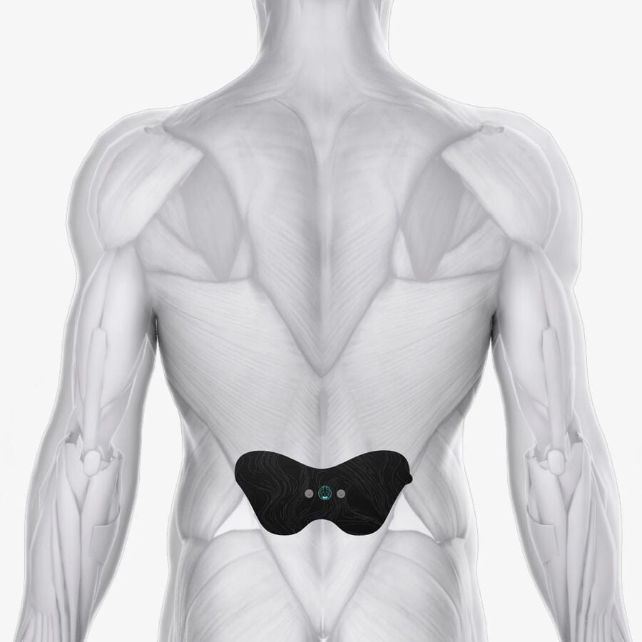 Chirp Halo Lower Back Pad, 2-Pack, , large image number 3
