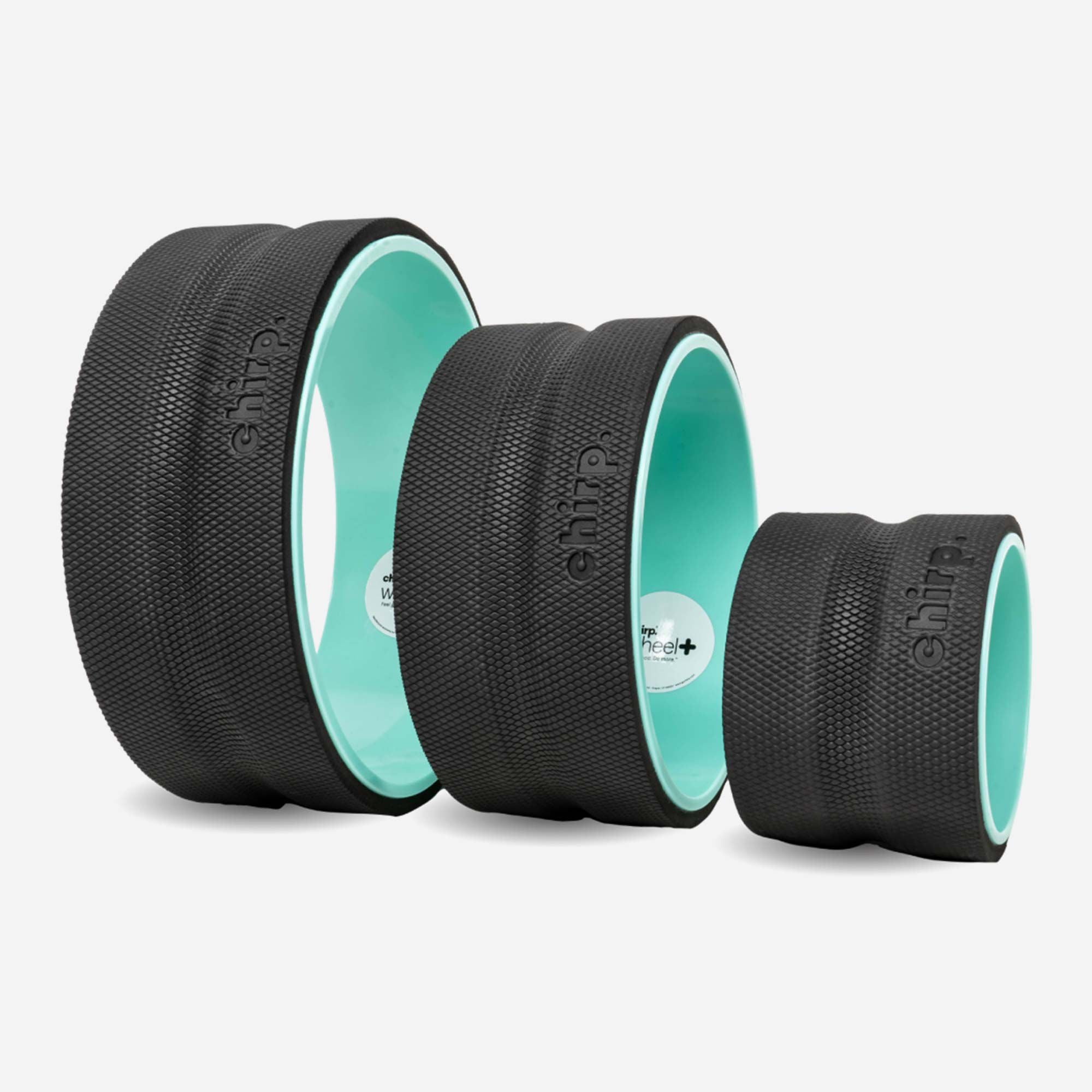 Chirp Wheel+ - Thumbnail 2