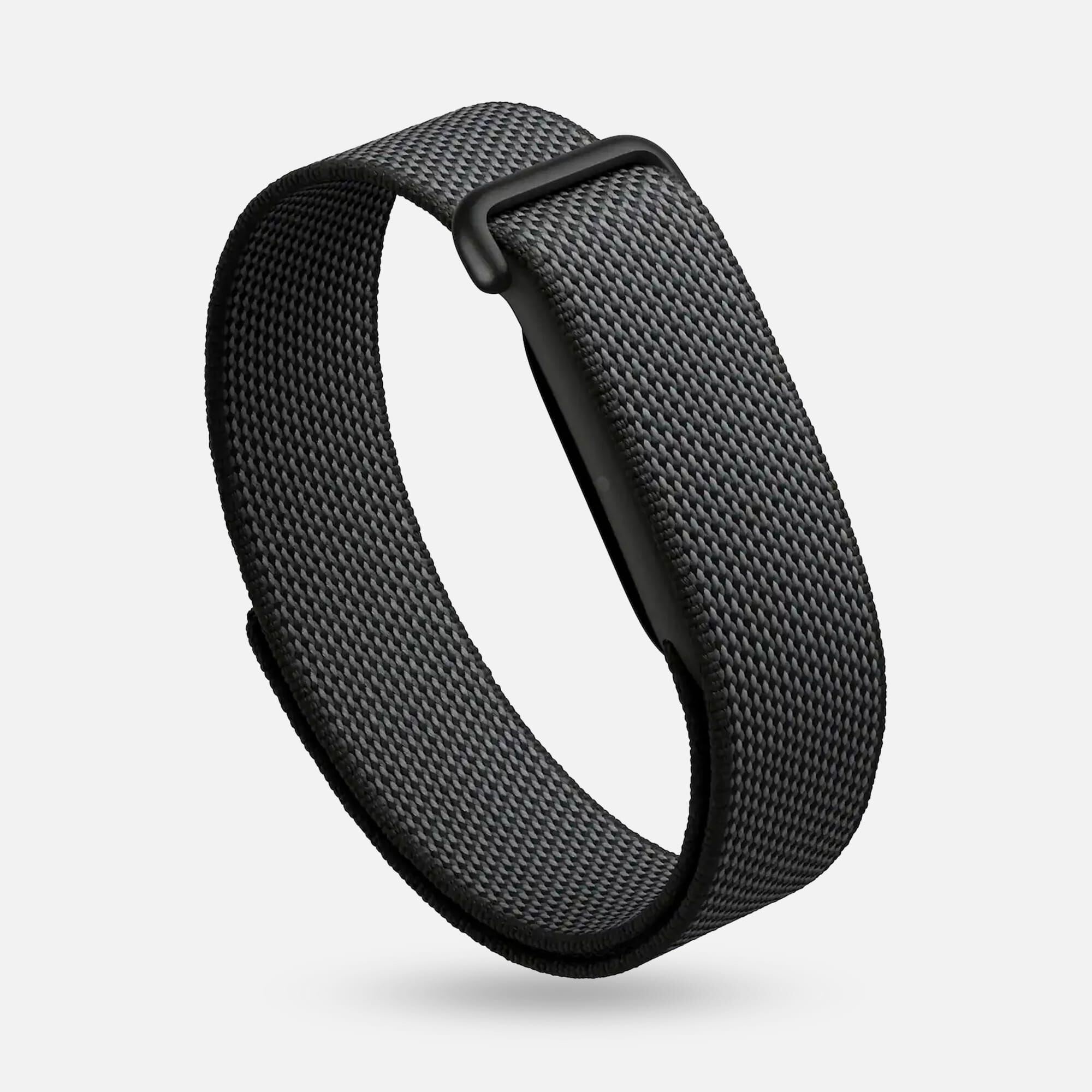 42711-Google-Fitbit-Air-