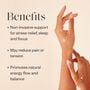 WTHN Body Balance Magnets, Gold Tone, 30 ct., Gold, large image number 2