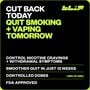 Blip Nicotine Mini Lozenges, Mint Freeze, 4mg, 27 ct., , large image number 2