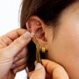 WTHN Crystal Ear Seed Kit, , large image number 1