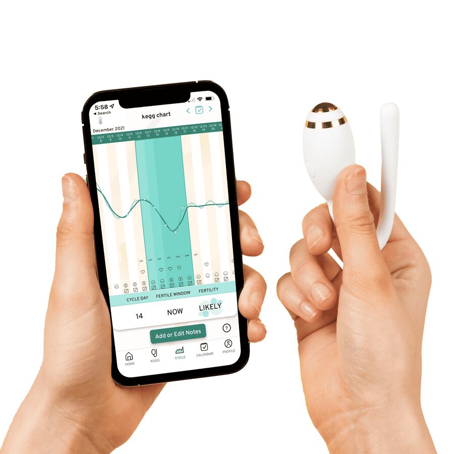 kegg fertility tracker & kegel ball, , large image number 3
